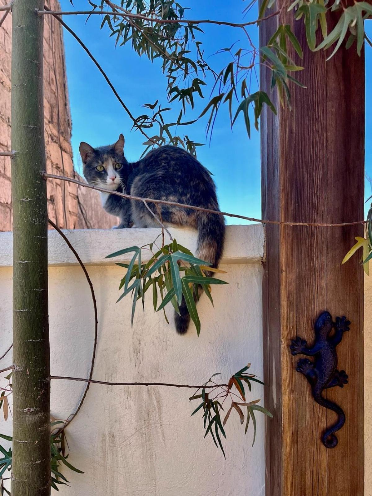 Riad Des Sources Villa Marrakesh Exterior foto